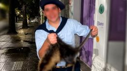 Maltrato Animal Bahia Blanca