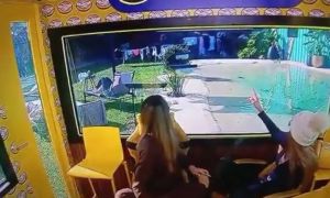 Gran Hermano Generación Dorada