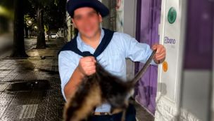 Maltrato Animal Bahia Blanca
