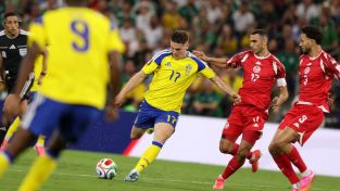Suecia vs Túnez
