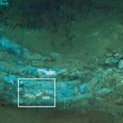 El hallazgo reveló una gigantesca concentración de osamentas nunca antes registrada.