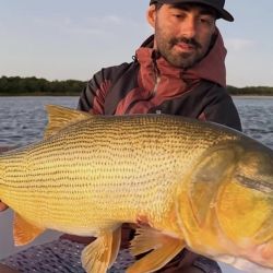 Los piques se multiplicaron en las últimas semanas. Los resultados hablan por sí solos: numerosos dorados de buen porte y algunos ejemplares que llegaron a los 10 kg de peso.