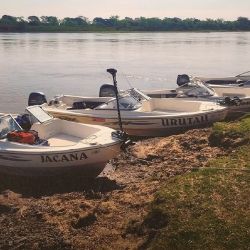 Los piques se multiplicaron en las últimas semanas. Los resultados hablan por sí solos: numerosos dorados de buen porte y algunos ejemplares que llegaron a los 10 kg de peso.