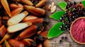 Alimentos nativos de la biodiversidad argentina