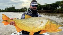Los piques se multiplicaron en las últimas semanas. Los resultados hablan por sí solos: numerosos dorados de buen porte y algunos ejemplares que llegaron a los 10 kg de peso.