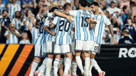 Encuesta mundialista: el 71,5 por ciento cree que Argentina volverá a salir campeona