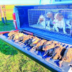 El otoño bonaerense abrió la temporada 2026 con heladas tardías, campos anegados y vuelos bajos de perdices desconfiadas.
