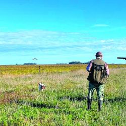 El otoño bonaerense abrió la temporada 2026 con heladas tardías, campos anegados y vuelos bajos de perdices desconfiadas.