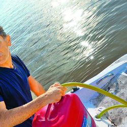 Las embarcaciones pueden embicarse en la costa de Martín García, pero siempre evaluando la altura de la marea.