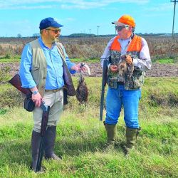 Salir al campo sin perro es perder tiempo. Sean ganaderos o agrícolas, las pasturas no están fáciles.