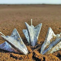 Cuando el tiempo y el mar están en buenas condiciones, el pejerrey panzón se muestra firme con dobletes, tripletes e incluso resultados en simultáneo en varias cañas.