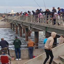 Semanas atrás, guías que operan en las lagunas del partido, resaltaron la falta de controles. 