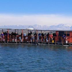 El encuentro organizado por la Federación Mendocina de Pesca y fiscalizado por la Confederación Argentina de Pesca y Lanzamiento se llevó a cabo en el dique el Carrizal.