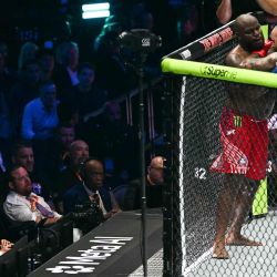 El presidente de Estados Unidos, Donald Trump, observa el combate de peso pesado entre el estadounidense Josh Hokit (derecha) y el estadounidense Derrick Lewis durante el evento de artes marciales mixtas  | Foto:Kent Nishimura / AFP