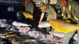 pesca en corrientes