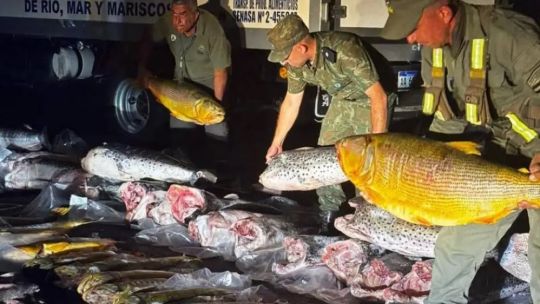 Alerta por pesca furtiva en Corrientes: denuncian "depredación intencionada" y piden sanciones más duras