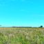 0617_cazamenor