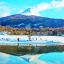 0617_fueradenieve
