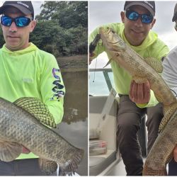 Rinden todas las modalidades: baitcasting o spinning pagan muy bien con excelentes dorados, pero también al golpe y hasta en ciertas oportunidades, haciendo trolling.
