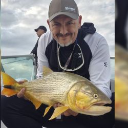 Rinden todas las modalidades: baitcasting o spinning pagan muy bien con excelentes dorados, pero también al golpe y hasta en ciertas oportunidades, haciendo trolling.