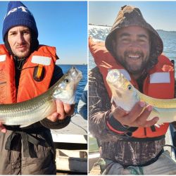 La pesca se da a flote mayormente, con brazoladas largas de hasta 80 cm, aunque por momentos, la chance está con paternóster. 
