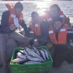 La pesca se da a flote mayormente, con brazoladas largas de hasta 80 cm, aunque por momentos, la chance está con paternóster. 