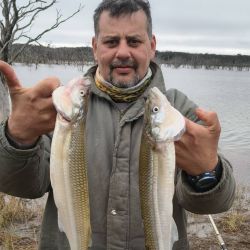 A días del invierno, el pique en todo el país es muy interesante. 
