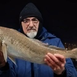 A días del invierno, el pique en todo el país es muy interesante. 
