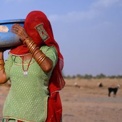 Esta muestra a Seema Kawar, madre del pastor Sawai Singh Bhati, cargando una bandeja de plástico tras alimentar al ganado frente a su casa en la aldea de Sanwata, en las afueras de Jaisalmer, Rajastán. En las calurosas llanuras de la India, los veranos abrasadores se han vuelto cada vez más difíciles de soportar, lo que exige adaptaciones y obliga a la vida a transcurrir en la oscuridad antes de que el sol se vuelva implacable. Las temperaturas en la aldea de Sanwata, donde vive Singh, alcanzaron los 45 °C a principios de junio, como suele ocurrir durante el verano, registrándose la temperatura máxima de 49 °C en la zona. | Foto:MANAN VATSYAYANA / AFP