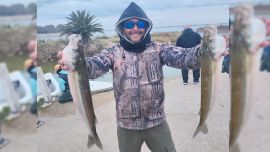 La pesca se da a flote mayormente, con brazoladas largas de hasta 80 cm, aunque por momentos, la chance está con paternóster.