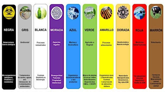 Un arcoíris biotecnológico rediseña la economía argentina