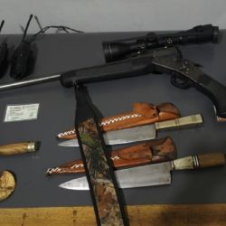 Parte de las armas secuestradas.