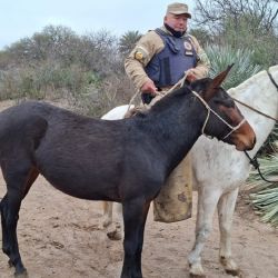 La banda operaba en campos rurales cordobeses.