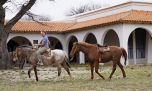 Estancias de La Pampa: una opción para pasar las vacaciones de invierno