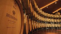Dos vinos de un terroir excepcional premiados en Londres 