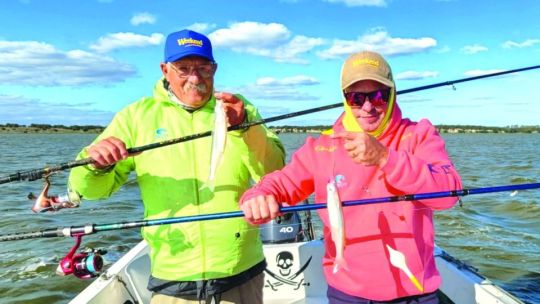 Las Barrancas: sorpresa camino a la costa