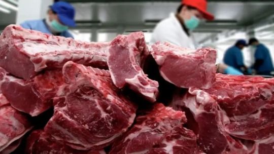 Se estima que de acá a 5 o 10 años “estemos en menos de 40 kilos de carne vacuna” de consumo