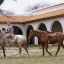 0619_lapampa