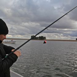 Aunque popularmente se lo considera un pez que puede capturarse durante todo el año, el pejerrey es una especie estenotérmica, es decir, desarrolla sus funciones vitales de manera óptima en aguas que oscilan entre los 16 y 18 °C. 
