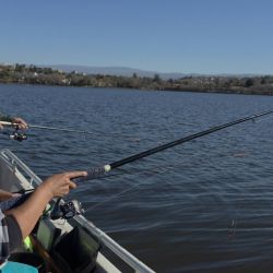 La correcta elección de la profundidad, el ajuste fino de los equipos, la selección de la carnada adecuada y el conocimiento de cada sector del lago terminan marcando la diferencia entre una jornada frustrante y una salida exitosa.