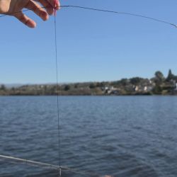 La correcta elección de la profundidad, el ajuste fino de los equipos, la selección de la carnada adecuada y el conocimiento de cada sector del lago terminan marcando la diferencia entre una jornada frustrante y una salida exitosa.
