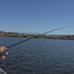 La correcta elección de la profundidad, el ajuste fino de los equipos, la selección de la carnada adecuada y el conocimiento de cada sector del lago terminan marcando la diferencia entre una jornada frustrante y una salida exitosa.
