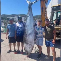 Las capturas se realizaron dentro del marco legal vigente para la pesca recreativa del atún rojo. Esta actividad se encuentra regulada mediante autorizaciones específicas, cupos y períodos establecidos para garantizar la conservación de una especie que durante décadas estuvo sometida a una fuerte presión pesquera.
