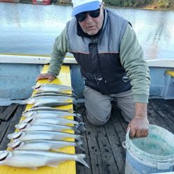 Vale recordar que la reglamentación actual establece una cuota máxima de 15 pejerreyes por pescador y por día, con una medida mínima obligatoria de 25 cm.