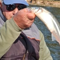 Vale recordar que la reglamentación actual establece una cuota máxima de 15 pejerreyes por pescador y por día, con una medida mínima obligatoria de 25 cm.