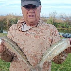 Vale recordar que la reglamentación actual establece una cuota máxima de 15 pejerreyes por pescador y por día, con una medida mínima obligatoria de 25 cm.