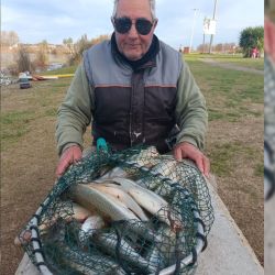 Vale recordar que la reglamentación actual establece una cuota máxima de 15 pejerreyes por pescador y por día, con una medida mínima obligatoria de 25 cm.