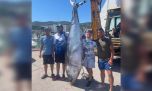 Capturaron un atún rojo de 300 kilos tras una lucha de más de 90 minutos 