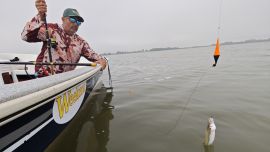 Pesca de pejerrey: 10 fallas que cometen muchos pescadores y que alejan las capturas
