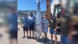 Capturaron un atún rojo de 300 kilos tras una lucha de más de 90 minutos